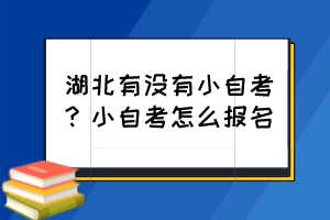 湖北有沒有小自考？小自考怎么報名？
