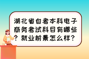 湖北省自考本科電子商務(wù)考試科目有哪些？就業(yè)前景怎么樣？