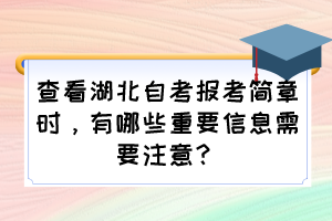 查看湖北自考報考簡章時，有哪些重要信息需要注意？