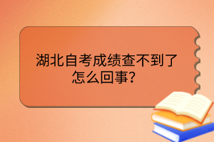 湖北自考成績查不到了怎么回事？