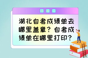 湖北自考成績單去哪里蓋章？自考成績單在哪里打?。? /><br />
</div>
<strong>自學考試成績單去哪里蓋章？</strong><br />
<br />
1、因各種特殊原因需要開具成績證明的考生，須憑準考證到<a href=