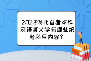 2023湖北自考本科漢語(yǔ)言文學(xué)有哪些統(tǒng)考科目?jī)?nèi)容？