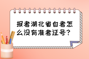 報(bào)考湖北省自考怎么沒(méi)有準(zhǔn)考證號(hào)？