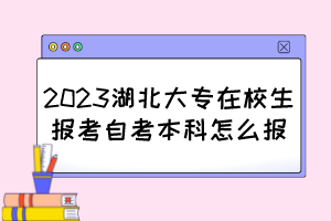 2023湖北大專(zhuān)在校生報(bào)考自考本科怎么報(bào)？