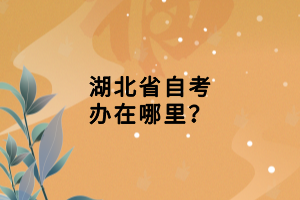 湖北省自考辦在哪里？