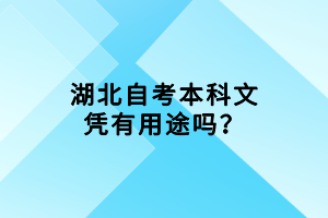 湖北自考本科文憑有用途嗎？