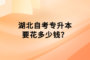 湖北自考專升本要花多少錢(qián)？