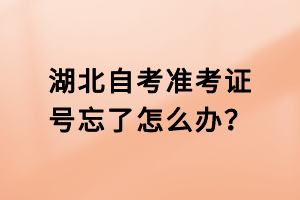 湖北自考準(zhǔn)考證號忘了怎么辦？