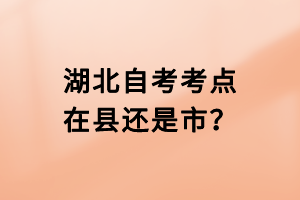 湖北自考考點(diǎn)在縣還是市？