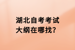 湖北自考考試大綱在哪找？