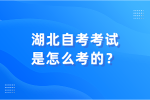 湖北自考考試是怎么考的？
