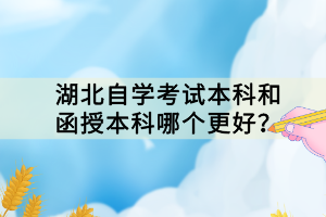 湖北自學(xué)考試本科和函授本科哪個更好？