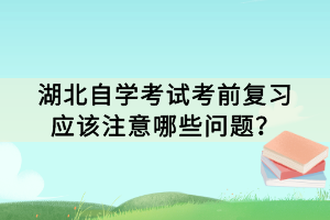 湖北自學考試考前復習應該注意哪些問題？