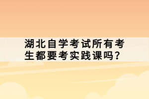 湖北自學(xué)考試所有考生都要考實踐課嗎？