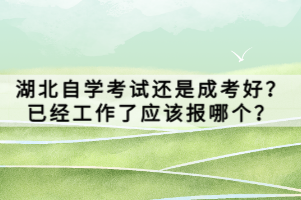 湖北自學(xué)考試還是成考好？已經(jīng)工作了應(yīng)該報(bào)哪個(gè)？