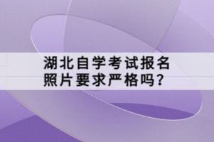 湖北自學(xué)考試報(bào)名照片要求嚴(yán)格嗎？