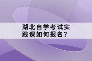 湖北自學(xué)考試實(shí)踐課如何報(bào)名？