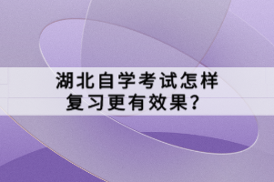 湖北自學考試怎樣復習更有效果？
