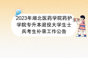 2023年湖北醫(yī)藥學(xué)院藥護(hù)學(xué)院專(zhuān)升本退役大學(xué)生士兵考生補(bǔ)錄工作公告