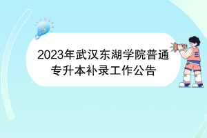 2023年武漢東湖學(xué)院普通專(zhuān)升本補(bǔ)錄工作公告