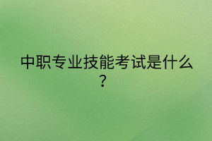 中職專業(yè)技能考試是什么？