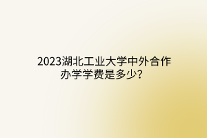 2023湖北工業(yè)大學中外合作辦學學費是多少？