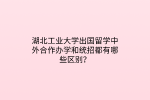 湖北工業(yè)大學(xué)出國(guó)留學(xué)中外合作辦學(xué)和統(tǒng)招都有哪些區(qū)別？