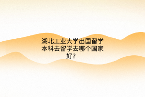 湖北工業(yè)大學(xué)出國(guó)留學(xué)本科去留學(xué)去哪個(gè)國(guó)家好？