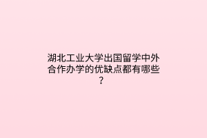 湖北工業(yè)大學(xué)出國留學(xué)中外合作辦學(xué)的優(yōu)缺點(diǎn)都有哪些？