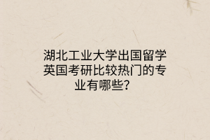 湖北工業(yè)大學出國留學英國考研比較熱門的專業(yè)有哪些？