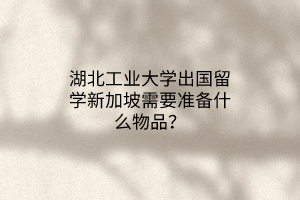 湖北工業(yè)大學(xué)出國留學(xué)新加坡需要準備什么物品？