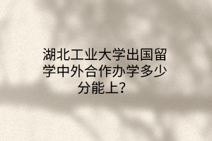湖北工業(yè)大學出國留學中外合作辦學多少分能上？