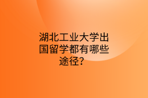 湖北工業(yè)大學(xué)出國(guó)留學(xué)都有哪些途徑？