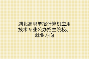 湖北高職單招計算機應(yīng)用技術(shù)專業(yè)公辦招生院校、就業(yè)方向