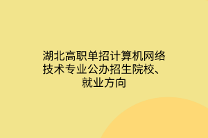 湖北高職單招計算機網(wǎng)絡(luò)技術(shù)專業(yè)公辦招生院校、就業(yè)方向