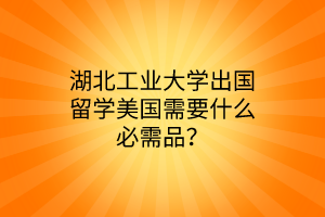 湖北工業(yè)大學(xué)出國留學(xué)美國需要什么必需品？