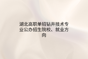 湖北高職單招鉆井技術(shù)專(zhuān)業(yè)公辦招生院校、就業(yè)方向