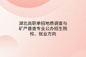 湖北高職單招地質(zhì)調(diào)查與礦產(chǎn)普查專業(yè)公辦招生院校、就業(yè)方向