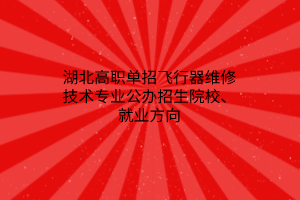 湖北高職單招飛行器維修技術(shù)專業(yè)公辦招生院校、就業(yè)方向