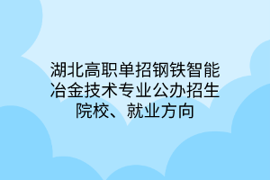 湖北高職單招鋼鐵智能冶金技術(shù)專業(yè)公辦招生院校、就業(yè)方向
