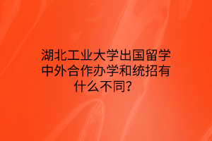 湖北工業(yè)大學(xué)出國留學(xué)中外合作辦學(xué)和統(tǒng)招有什么不同？