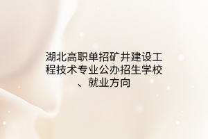 湖北高職單招礦井建設工程技術專業(yè)公辦招生學校、就業(yè)方向