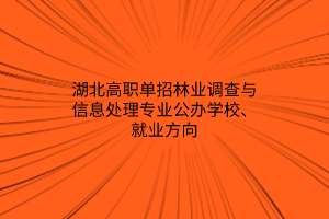 湖北高職單招林業(yè)調(diào)查與信息處理專業(yè)公辦學(xué)校、就業(yè)方向