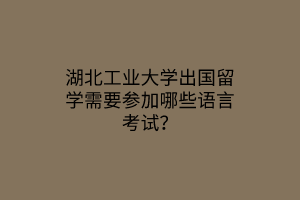 湖北工業(yè)大學(xué)出國留學(xué)需要參加哪些語言考試？