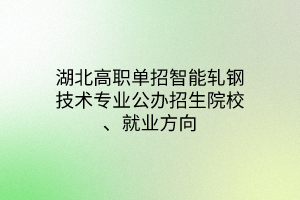 湖北高職單招智能軋鋼技術(shù)專業(yè)公辦招生院校、就業(yè)方向