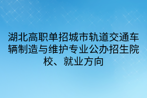 湖北高職單招城市軌道交通車輛制造與維護專業(yè)
