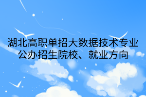 湖北高職單招大數(shù)據(jù)技術(shù)專業(yè)公辦招生院校、就業(yè)方向
