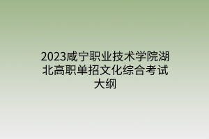 2023咸寧職業(yè)技術(shù)學院湖北高職單招文化綜合考試大綱