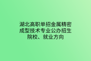 湖北高職單招金屬精密成型技術專業(yè)公辦招生院校、就業(yè)方向