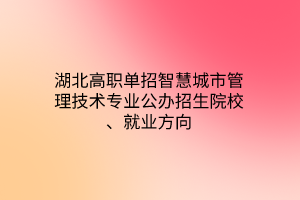 湖北高職單招智慧城市管理技術(shù)專業(yè)公辦招生院校、就業(yè)方向